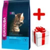 Eukanuba Top Condition 7+ Adult 10kg+ Surprise Gratuite Pour Votre Chat -ROYAL CANIN Soldes Magasin fre pl Eukanuba Top Condition 7 Adult 10kg Surprise gratuite pour votre chat 27308 1