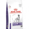 ROYAL CANIN Dental Medium/Large Dog 13kg -ROYAL CANIN Soldes Magasin fre pl ROYAL CANIN Dental Medium Large Dog 13kg 23318 1