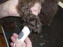 AESCULAP Tondeuse Pour Chiens Exacta Sans Fil Blanc 13 AESCULAP Tondeuse Pour Chiens Exacta Sans Fil Blanc -ROYAL CANIN Soldes Magasin fre pl AESCULAP Tondeuse pour chiens Exacta sans fil blanc 25114 6