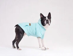 AMIPLAY Sweat-shirt à Capuche Texas Noir 30cm -ROYAL CANIN Soldes Magasin fre pl AMIPLAY Sweat shirt a capuche Texas noir 30cm 28479 3