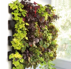 AQUAEL Jardin Mural Versa Garden - Kit De Démarrage -ROYAL CANIN Soldes Magasin fre pl AQUAEL Jardin mural Versa Garden kit de demarrage 26838 2