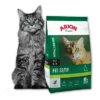 ARION Original Fit 32/19 Poulet 2kg 2 ARION Original Fit 32/19 Poulet 2kg -ROYAL CANIN Soldes Magasin fre pl ARION Original Fit 32 19 Poulet 2kg 15827 1