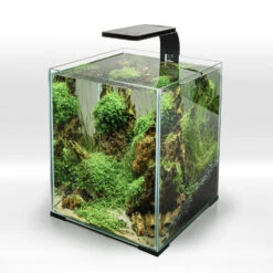 Aquael Module D'éclairage Leddy Smart 4,8W Plant D&N Noir -ROYAL CANIN Soldes Magasin fre pl Aquael module declairage Leddy Smart 4 8W Plant D N noir 27052 4