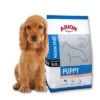 Arion Original Chiot Races Moyennes Saumon & Riz 3kg -ROYAL CANIN Soldes Magasin fre pl Arion Original Chiot Races Moyennes Saumon Riz 3kg 15621 1