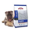 Arion Original Puppy Large Breed Saumon & Riz 3kg -ROYAL CANIN Soldes Magasin fre pl Arion Original Puppy Large Breed Saumon Riz 3kg 8505 1