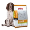 Arion Original Senior Medium Poulet Et Riz 12kg -ROYAL CANIN Soldes Magasin fre pl Arion Original Senior Medium Poulet et Riz 12kg 8500 1