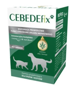 BIOVICO CEBEDEfix 40comprimés