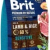 BRIT Premium By Nature Sensitive Lamb 3kg X2 1 BRIT Premium By Nature Sensitive Lamb 3kg X2 -ROYAL CANIN Soldes Magasin fre pl BRIT Premium By Nature Sensitive Lamb 3kg x2 30755 1