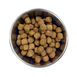 Barking Heads Big Foot Chop Lickin' Agneau Pour Chiens Adultes De Grande Race 12kg -ROYAL CANIN Soldes Magasin fre pl Barking Heads Big Foot Chop Lickin Agneau pour chiens adultes de grande race 12kg 28622 3