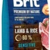 Brit Premium By Nature Sensitive Avec Agneau Et Riz 15kg + Surprise Gratuite Pour Chien -ROYAL CANIN Soldes Magasin fre pl Brit Premium By Nature Sensitive Avec Agneau Et Riz 15kg Surprise gratuite pour chien 27145 1