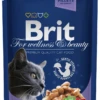 Brit Premium Cat Adult Morue 100g X12 -ROYAL CANIN Soldes Magasin fre pl Brit Premium Cat Adult Morue 100g X12 30060 1