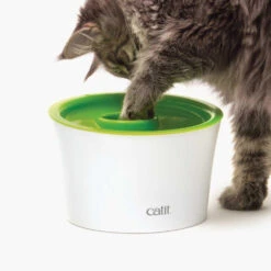 Catit Bol Multifonctionnel 7 Catit Bol Multifonctionnel -ROYAL CANIN Soldes Magasin fre pl Catit Bol multifonctionnel 10331 2