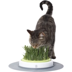 Catit Jardin D’herbe Senses 2.0 -ROYAL CANIN Soldes Magasin fre pl Catit Jardin dherbe Senses 2 0 10359 2