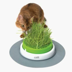 Catit Jardin D’herbe Senses 2.0 -ROYAL CANIN Soldes Magasin fre pl Catit Jardin dherbe Senses 2 0 10359 3