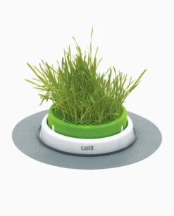 Catit Jardin D’herbe Senses 2.0 -ROYAL CANIN Soldes Magasin fre pl Catit Jardin dherbe Senses 2 0 10359 4