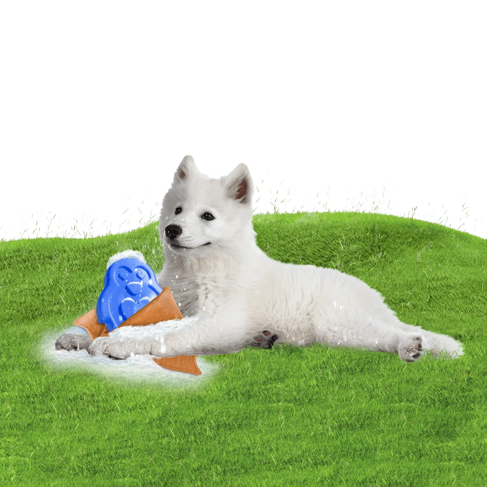 CoolPets Ice PINGWIN Pour Chiens 6 CoolPets Ice PINGWIN Pour Chiens – Image 4