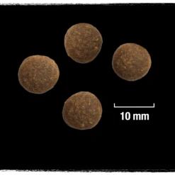 Crave Croquettes Pour Chien à La Dinde Et Au Poulet 2.8kg -ROYAL CANIN Soldes Magasin fre pl Crave Croquettes pour chien a la dinde et au poulet 2 8kg 23433 3