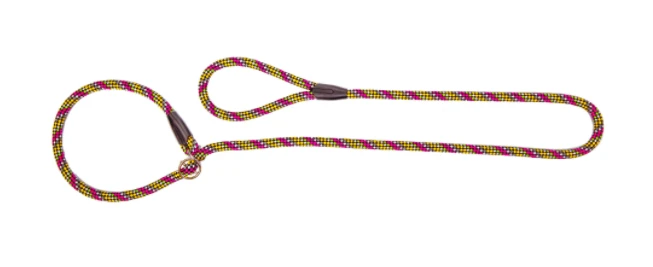 DINGO MAGIC - Laisse Pour Chien à Anneau Et à Clip Avec Cordon Jaune-rose 3 DINGO MAGIC - Laisse Pour Chien à Anneau Et à Clip Avec Cordon Jaune-rose