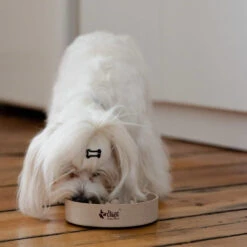 DINGO- Bol Lent En Fibre De Bambou- 1430 Ml -ROYAL CANIN Soldes Magasin fre pl DINGO bol lent en fibre de bambou 1430 ml 29823 3