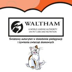 DREAMIES Friandise Au Poulet Pour Chat 180g -ROYAL CANIN Soldes Magasin fre pl DREAMIES Friandise au poulet pour chat 180g 10099 3