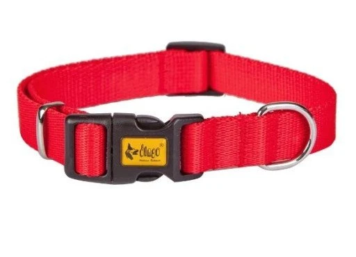 Dingo Collier à Sangle Pour Chien Avec Fermoir En Plastique Rouge 65cm 4 Dingo Collier à Sangle Pour Chien Avec Fermoir En Plastique Rouge 65cm – Image 2