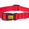 Dingo Collier Pour Chien Avec Fermoir En Plastique Rouge 55cm -ROYAL CANIN Soldes Magasin fre pl Dingo Collier pour chien avec fermoir en plastique Rouge 55cm 16456 1