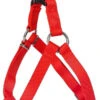 Dingo Harnaisde Type Step-In Avec Sangle Pour Chiens Rouge Taille 85 1 Dingo Harnaisde Type Step-In Avec Sangle Pour Chiens Rouge Taille 85 -ROYAL CANIN Soldes Magasin fre pl Dingo Harnais de type Step In avec sangle pour chiens rouge taille 85 16464 1