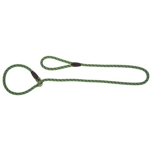 Dingo Laisse Pour Chien En Anneau Magic Vert/Bleu 170cm 3 Dingo Laisse Pour Chien En Anneau Magic Vert/Bleu 170cm