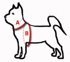 Dingo New York Step-In Harnais Pour Yorkie Et Petit Chien Orange 5 Dingo New York Step-In Harnais Pour Yorkie Et Petit Chien Orange – Image 3