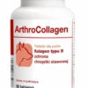 Dolfos ArthroCollagen 90 Comprimés 2 Dolfos ArthroCollagen 90 Comprimés -ROYAL CANIN Soldes Magasin fre pl Dolfos ArthroCollagen 90 comprimes 9659 1