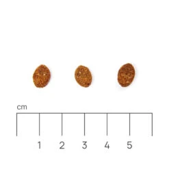 Eminent Cat Adult Poulet 32/14 10kg 10 Eminent Cat Adult Poulet 32/14 10kg -ROYAL CANIN Soldes Magasin fre pl Eminent Cat Adult Poulet 32 14 10kg 26607 4