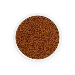 Eminent Cat Kitten 34/20 2kg -ROYAL CANIN Soldes Magasin fre pl Eminent Cat Kitten 34 20 2kg 26046 3