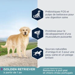 Eukanuba Adult Breed Specific Golden Retriever 12kg 8 Eukanuba Adult Breed Specific Golden Retriever 12kg -ROYAL CANIN Soldes Magasin fre pl Eukanuba Adult Breed Specific Golden Retriever 12kg 15277 5