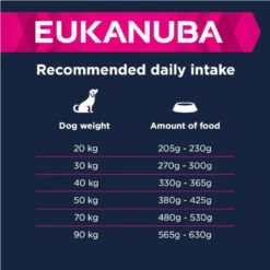 Eukanuba Adult Large Breed Agneau & Riz 12kg+ Surprise Gratuite Pour Votre Chien -ROYAL CANIN Soldes Magasin fre pl Eukanuba Adult Large Breed Agneau Riz 12kg Surprise gratuite pour votre chien 27327 2