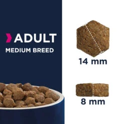 Eukanuba Adult Medium Breed Poulet 15kg+ Surprise Gratuite Pour Votre Chien -ROYAL CANIN Soldes Magasin fre pl Eukanuba Adult Medium Breed poulet 15kg Surprise Gratuite pour votre chien 27343 4