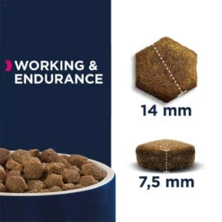 Eukanuba Daily Care Working & Endurance Adult 15kg+ Surprise Gratuite Pour Votre Chien -ROYAL CANIN Soldes Magasin fre pl Eukanuba Daily Care Working Endurance Adult 15kg Surprise gratuite pour votre chien 27335 2