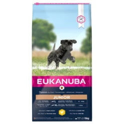 Eukanuba Puppy&Junior Large Breed 15kg+Surprise Gratuite Pour Votre Chien 12 Eukanuba Puppy&Junior Large Breed 15kg+Surprise Gratuite Pour Votre Chien -ROYAL CANIN Soldes Magasin fre pl Eukanuba Puppy Junior Large Breed 15kg 15270 2
