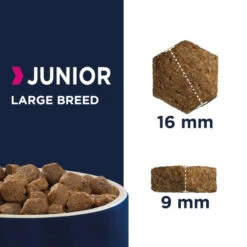 Eukanuba Puppy&Junior Large Breed 15kg+Surprise Gratuite Pour Votre Chien 11 Eukanuba Puppy&Junior Large Breed 15kg+Surprise Gratuite Pour Votre Chien -ROYAL CANIN Soldes Magasin fre pl Eukanuba Puppy Junior Large Breed 15kg Surprise gratuite pour votre chien 27321 4