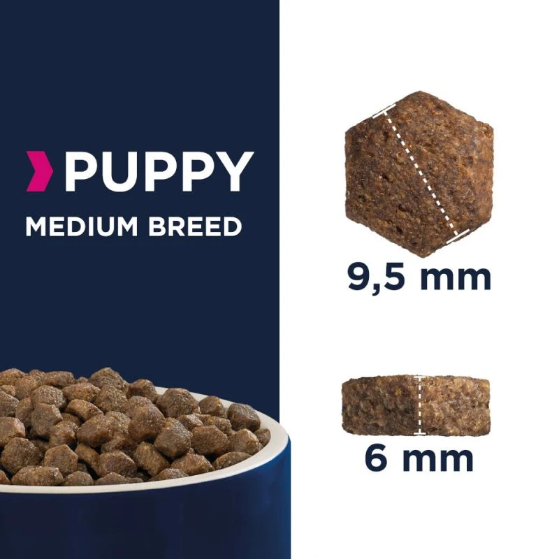 Eukanuba Puppy&Junior Medium Breed 15kg+Surprise Gratuite Pour Votre Chien 4 Eukanuba Puppy&Junior Medium Breed 15kg+Surprise Gratuite Pour Votre Chien – Image 2