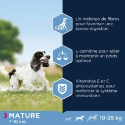 Eukanuba Thriving Mature Medium Breed 3kg+ Surprise Gratuite Pour Votre Chien -ROYAL CANIN Soldes Magasin fre pl Eukanuba Thriving Mature Medium Breed 3kg Surprise gratuite pour votre chien 27317 2