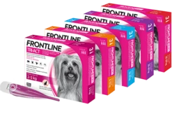 FRONTLINE Tri-Act Pour Chiens 3x6ml -ROYAL CANIN Soldes Magasin fre pl FRONTLINE Tri Act Pour chiens 3x6ml 8673 2