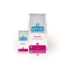 Farmina Vet Life Feline Struvite Urinary 2kg 10 Farmina Vet Life Feline Struvite Urinary 2kg -ROYAL CANIN Soldes Magasin fre pl Farmina Vet Life Feline Struvite Urinary 2kg 16964 3