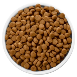 Hills Hill's PD Prescription Diet Canine C/d Urinary Care 12kg -ROYAL CANIN Soldes Magasin fre pl Hills PD Prescription Diet Canine c d Urinary Care 12kg 12583 4