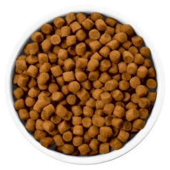 Hills Hill's PD Prescription Diet Canine I/d 12kg+ Surprise Pour Votre Chien GRATUITE ! 10 Hills Hill's PD Prescription Diet Canine I/d 12kg+ Surprise Pour Votre Chien GRATUITE ! -ROYAL CANIN Soldes Magasin fre pl Hills PD Prescription Diet Canine i d 12kg Surprise pour votre chien GRATUITE 25759 3