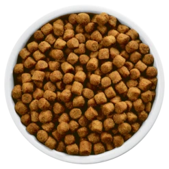 Hills Hill's PD Prescription Diet Canine J/d 12kg 9 Hills Hill's PD Prescription Diet Canine J/d 12kg -ROYAL CANIN Soldes Magasin fre pl Hills PD Prescription Diet Canine j d 12kg 12674 4