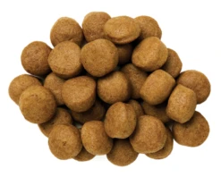 Hills Hill's PD Prescription Diet Canine Z/d Food Sensitivities 10kg -ROYAL CANIN Soldes Magasin fre pl Hills PD Prescription Diet Canine z d Food Sensitivities 10kg 15772 3