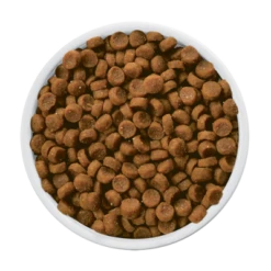 Hills Hill's PD Prescription Diet Feline K/d 1,5kg -ROYAL CANIN Soldes Magasin fre pl Hills PD Prescription Diet Feline k d 1 5kg 15220 4