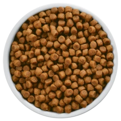 Hills Hill's PD Prescription Diet Feline S/d 1,5kg -ROYAL CANIN Soldes Magasin fre pl Hills PD Prescription Diet Feline s d 1 5kg 12928 3