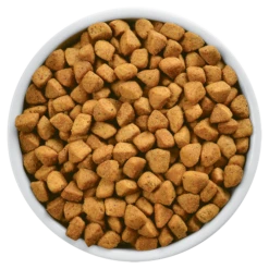 Hills Hill's PD Prescription Diet Metabolic Feline 1,5kg -ROYAL CANIN Soldes Magasin fre pl Hills PD Prescription Diet Metabolic Feline 1 5kg 16914 4