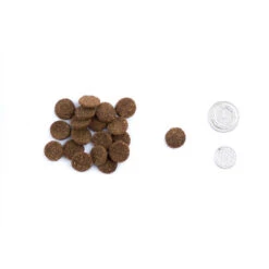 Hubert 23/12 15kg Aliments Secs Pour Les Chiens De Chasse 6 Hubert 23/12 15kg Aliments Secs Pour Les Chiens De Chasse -ROYAL CANIN Soldes Magasin fre pl Hubert 23 12 15kg aliments secs pour les chiens de chasse 25805 2